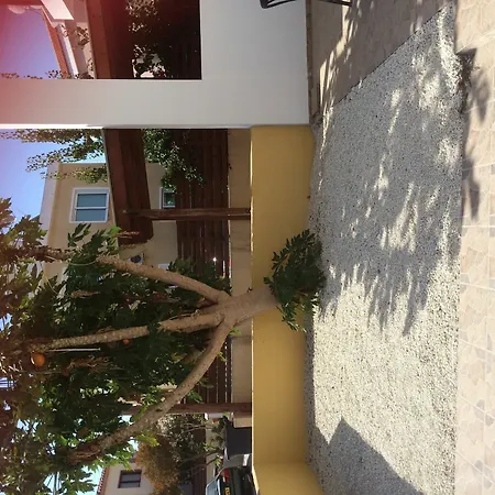Nikoleta House *
